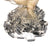 Bait Buster White Cast Net - 1-1/4" Sq. Mullet Mesh (1.5lb/ft)- No Dragon Head